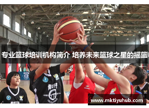 专业篮球培训机构简介 培养未来篮球之星的摇篮
