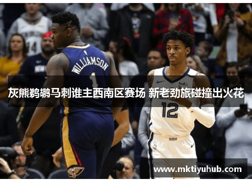 灰熊鹈鹕马刺谁主西南区赛场 新老劲旅碰撞出火花